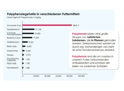 Versele Master Witwer 20kg -Josera Verkaufsgeschäft antioxidantien 11