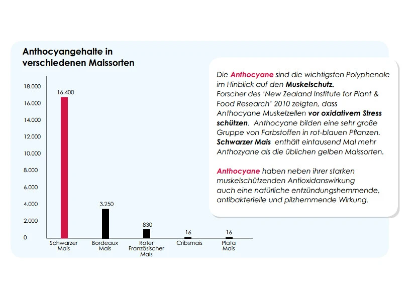 Versele Master Diät Relax 20kg 6 Versele Master Diät Relax 20kg – Bild 4