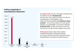 Versele Master Black 20kg -Josera Verkaufsgeschäft antioxidantien 24