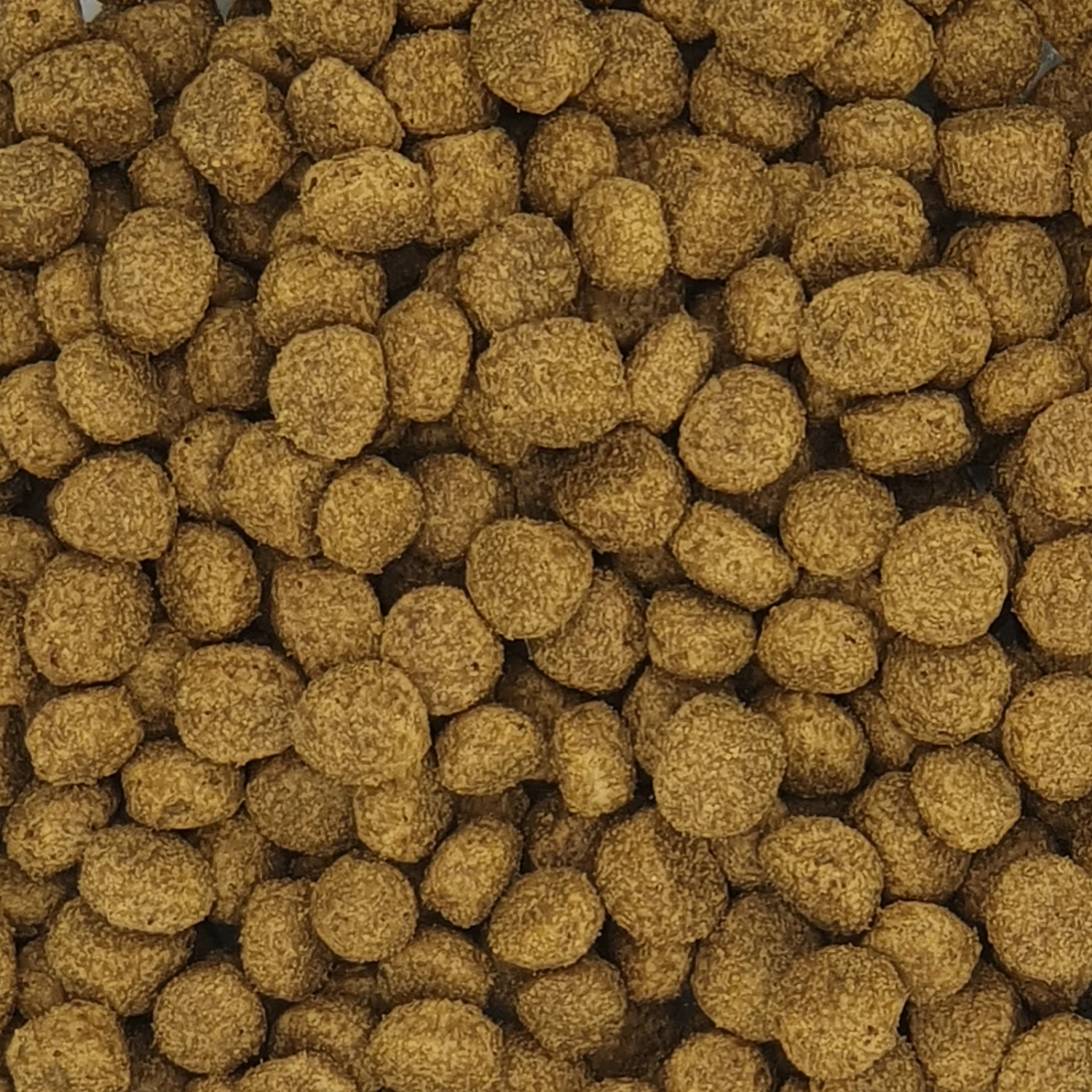 Versele Floating Ibis 2er-Pack 30kg 3 Versele Floating Ibis 2er-Pack 30kg