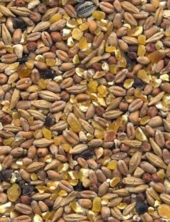 Havens Scharrel-Graan - Körnerfutter 25kg 7 Havens Scharrel-Graan - Körnerfutter 25kg -Josera Verkaufsgeschäft graanmengelingenscharrelgraan