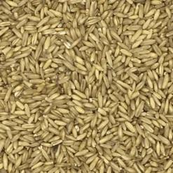 Haferkerne - Vanrobaeys 25kg