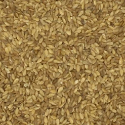 Leinsamen Gelb - Vanrobaeys 25kg