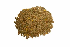 Linsen - Vanrobaeys 25kg