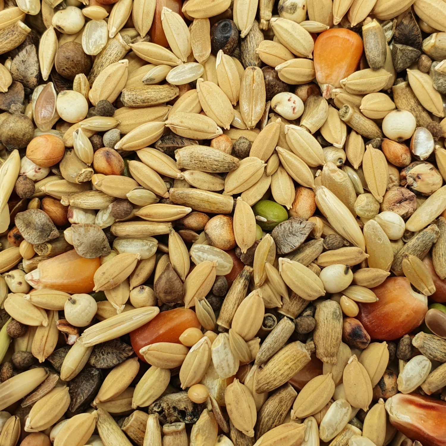 Matador Premium Detox 20kg 3 Matador Premium Detox 20kg