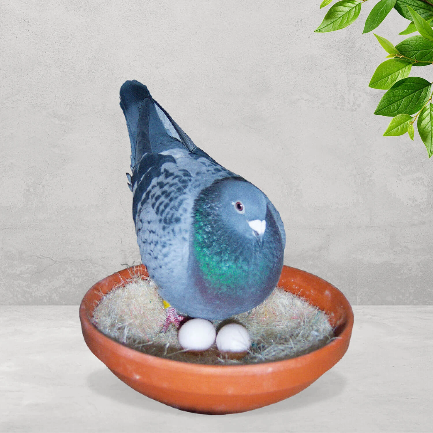 Nesteinlagen Sisal 50 Stück Ø 23cm - Teekontor 3 Nesteinlagen Sisal 50 Stück Ø 23cm - Teekontor