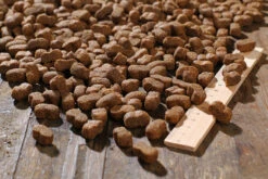 Bewi Dog Junior 12,5kg -Josera Verkaufsgeschäft rs2899 junior kroketten lineal img 1767b klein