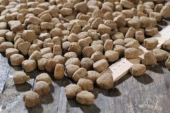 Bewi Dog Balance 12,5kg -Josera Verkaufsgeschäft rs2902 balance kroketten lineal img 1797b klein1