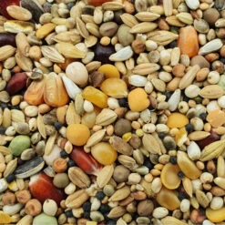 Spinne Stieneker Power 25kg