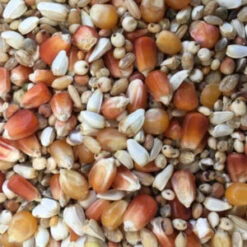 Spinne Tollisan Forte 25kg