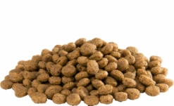 Versele Floating Ibis 15kg -Josera Verkaufsgeschäft versele floating ibis inhalt